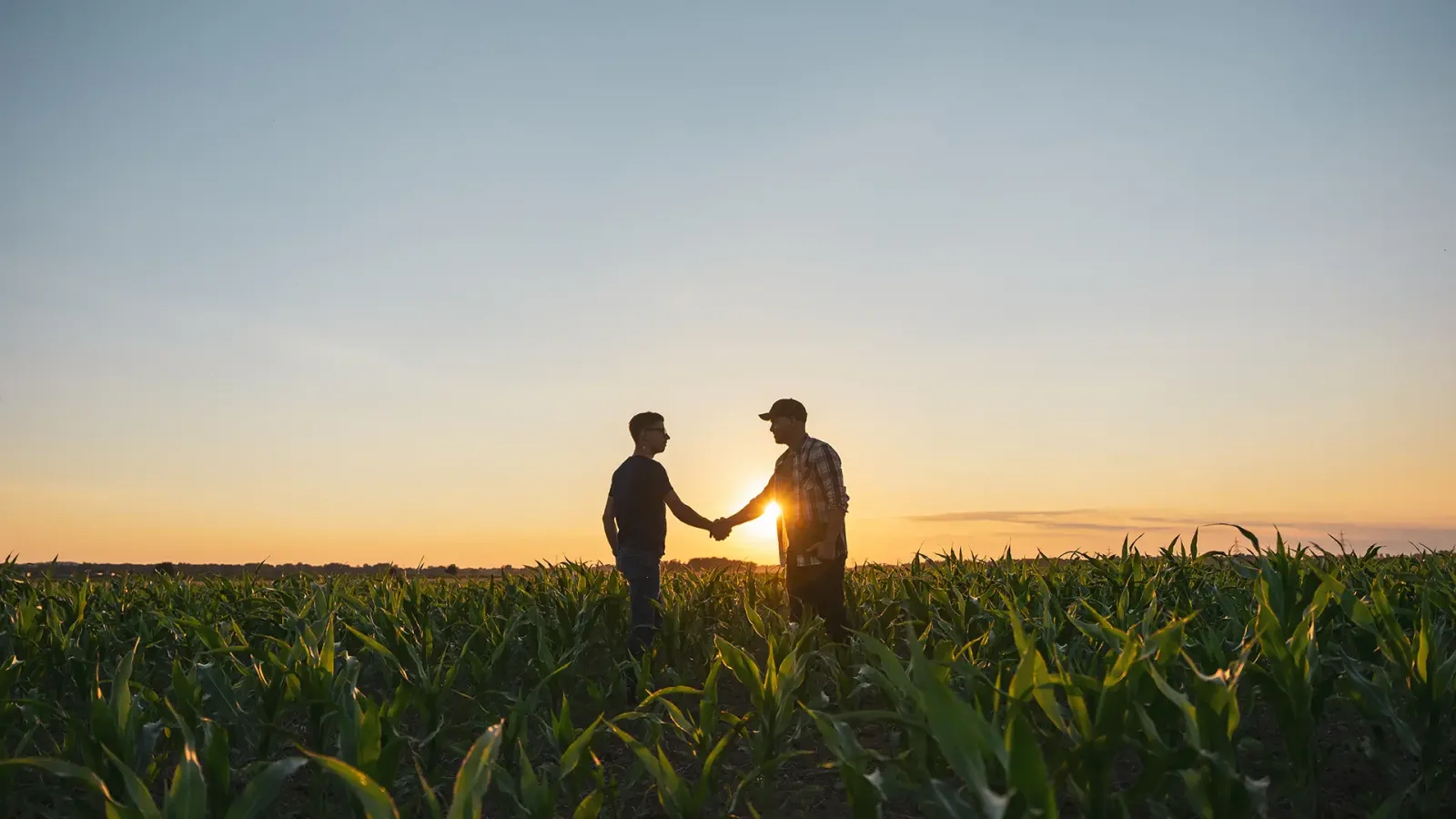 farmers shaking hands in a field at sunset